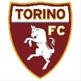 Torinow